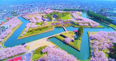 🏛️ 사쿠라가오카(벚꽃 언덕) 뮤지엄 이미지 2